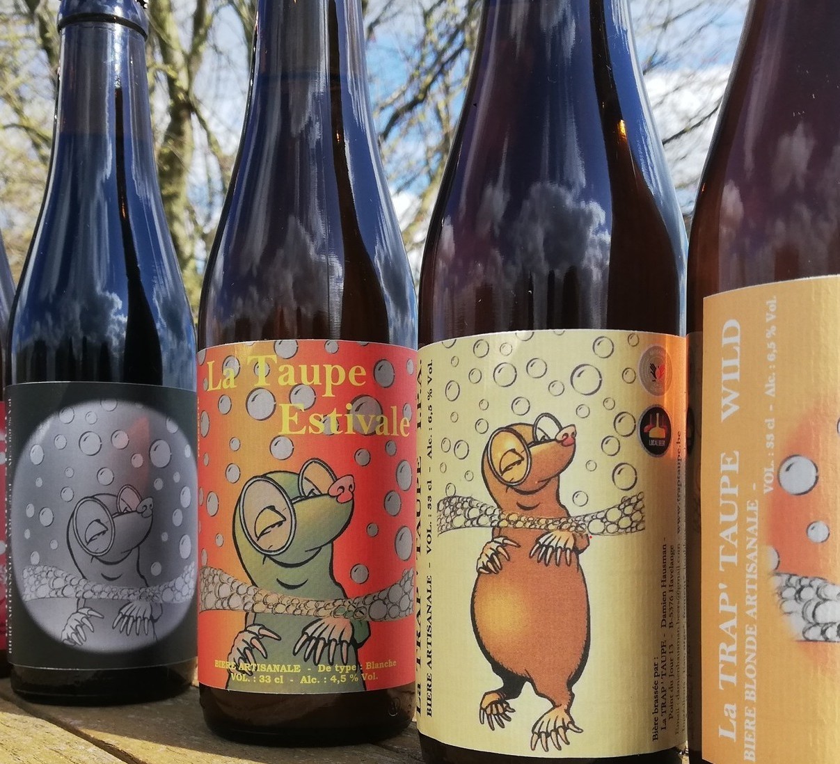 Autour d'une bière